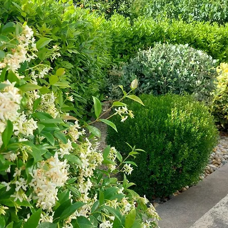 Vega With Private Garden, Terrace And Garage 公寓 希贝尼克