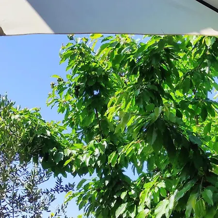Vega With Private Garden, Terrace And Garage Apartamento *