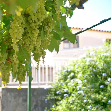 Vega - Spacious Home, Garden, Terrace & Garage *