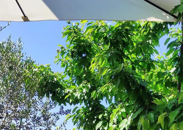 Vega - Spacious Home, Garden, Terrace & Garage 아파트 *