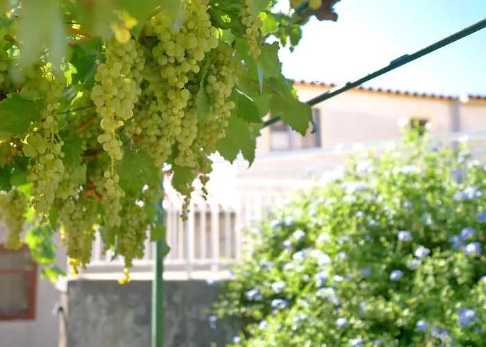 Vega - Spacious Home, Garden, Terrace & Garage *